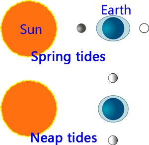 How the earth, moon and sun conspire together to create spring and neap tides.
