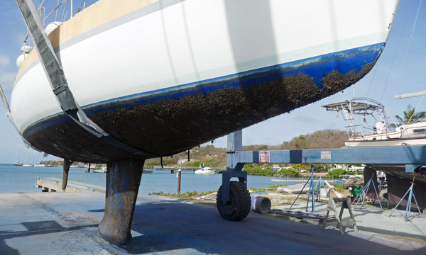Impressive growth on sailboat hull after long period on mooring