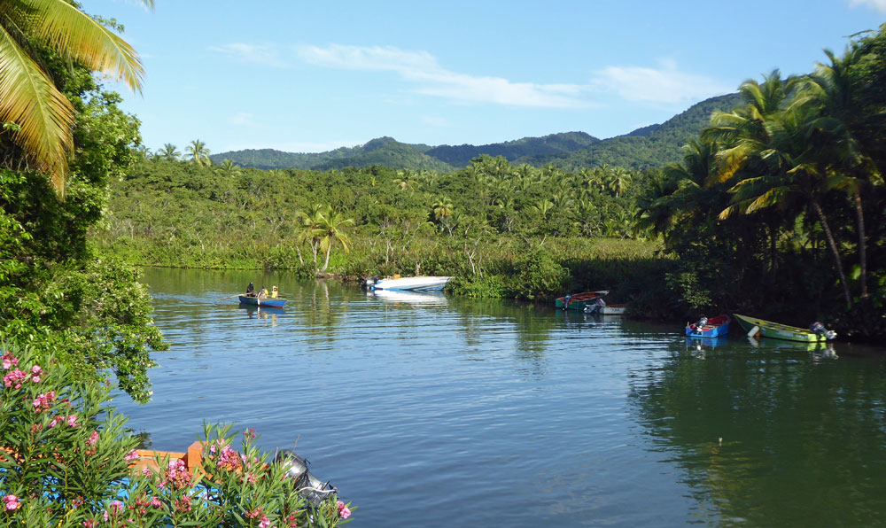 The Indian River at Portsmouth, Dominica