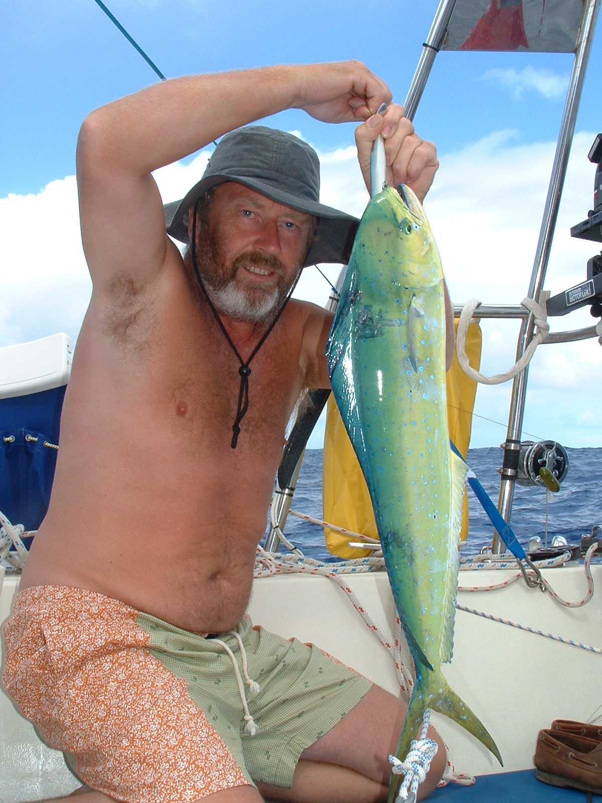 dorado caught on a trolling handline in mid atlantic