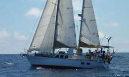 'Blowin' Bubbles', a 45 ft Dufour CT12000 Pilothouse Ketch for sale