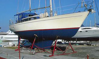 live on sailboats for sale