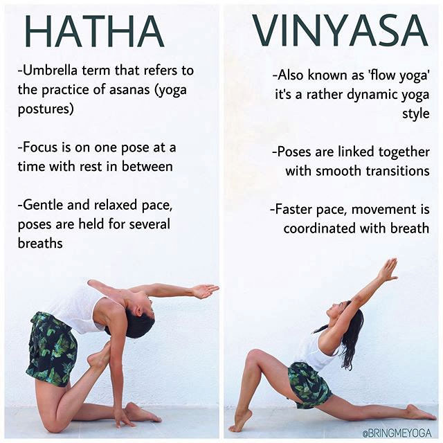 Hatha versus Vinyasa Yoga