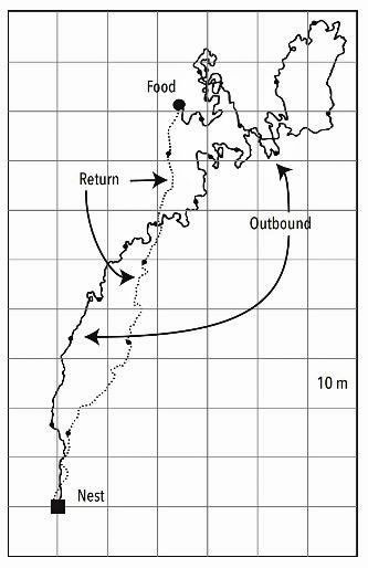 Figure 10: Outbound and Return