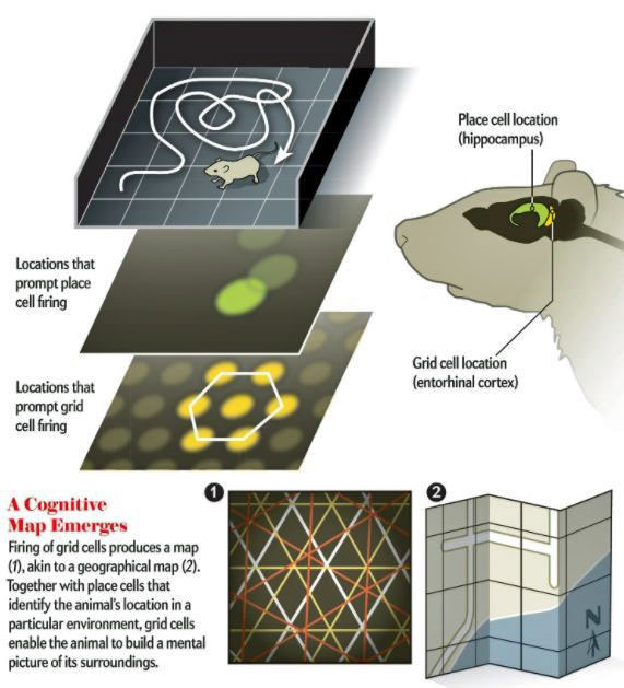 Figure 20: Creation of a "Cognitive Map"