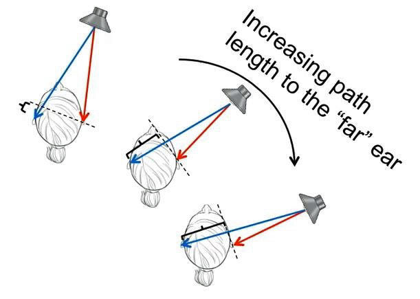 Illustration entitled 'Time Difference for a Sound to Reach Each Ear' from Dr Michael Martin Cohen's article 'Time and the Sailor's Brain'.