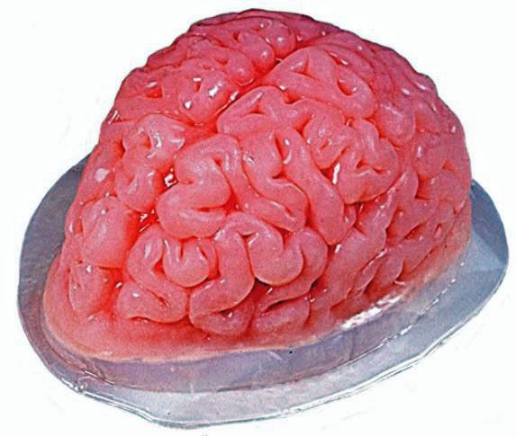 Jelly mold brain