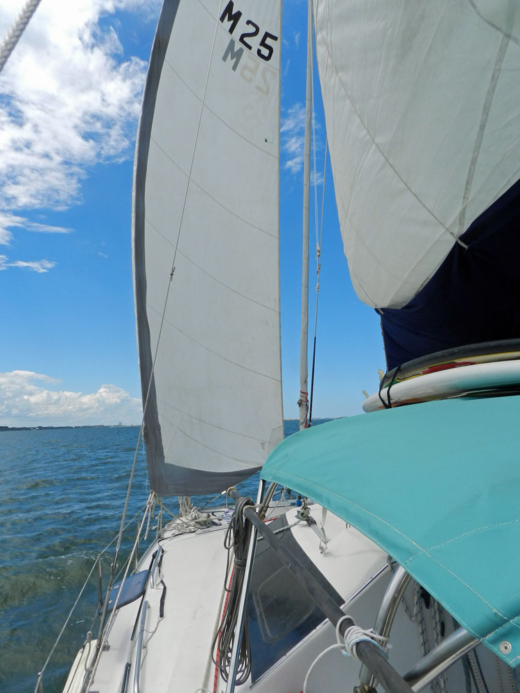 A PDQ 36 catamaran under sail