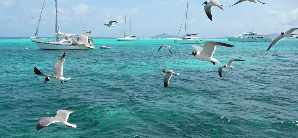 Tobago Cays