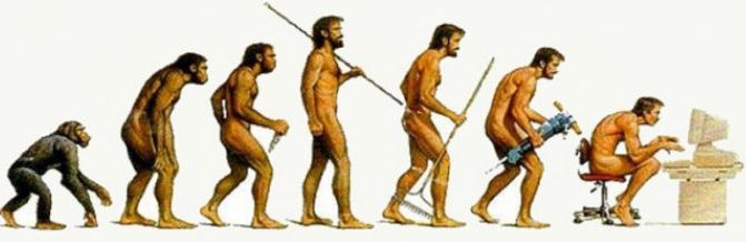 The 7 stages of human evolution!