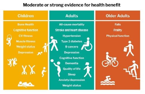 Evidence from the UK health report