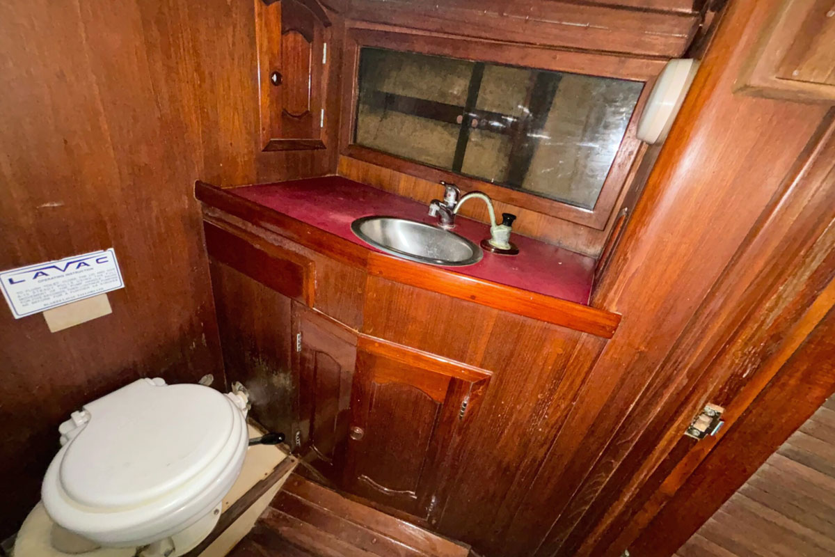 'Flying Whale', Alajuela 48, head 2