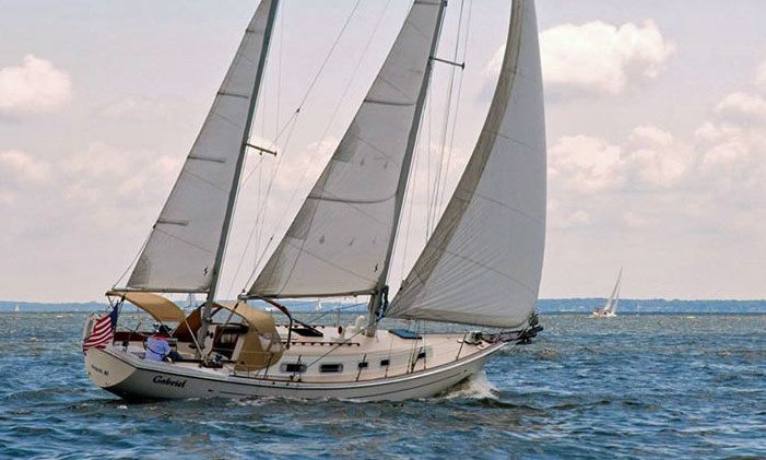 Allied Princess 36