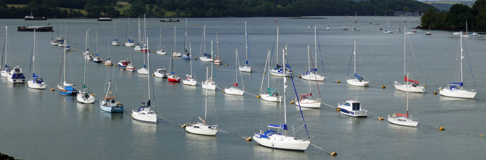 Trot moorings on the River Tamar