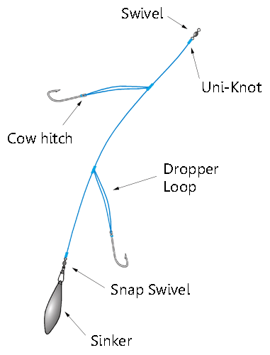 a two-hook paternoster rig
