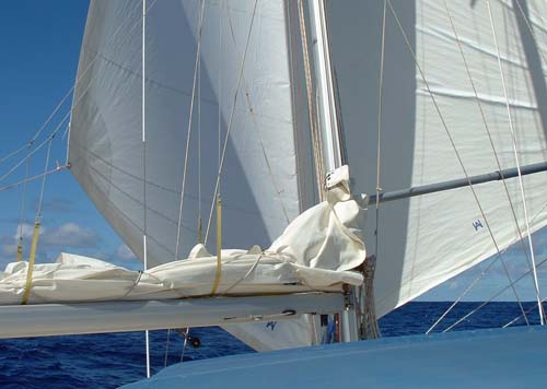 twin headsail rig for tradewind sailing