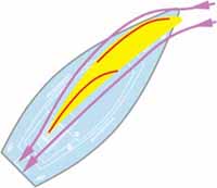 sketch showing the windflow over a sailboat's sails when close-hauled and hard on the wind